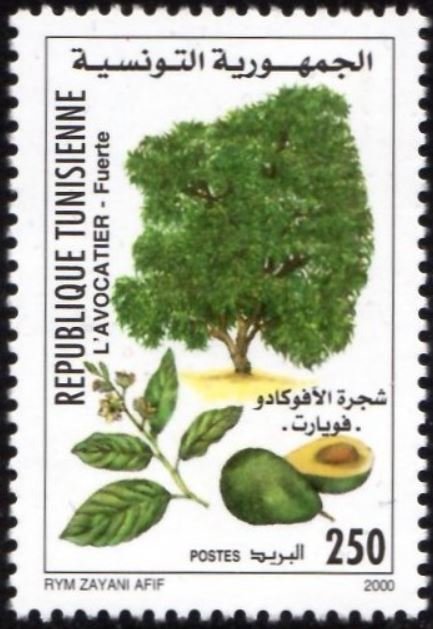 Stamp