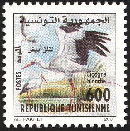 Stamp