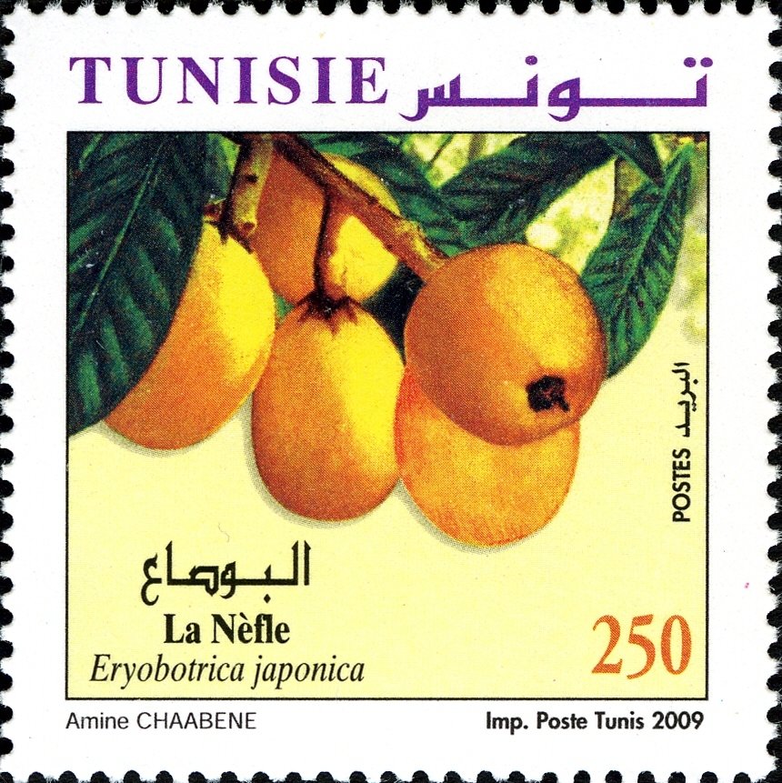 Stamp