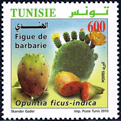 Stamp
