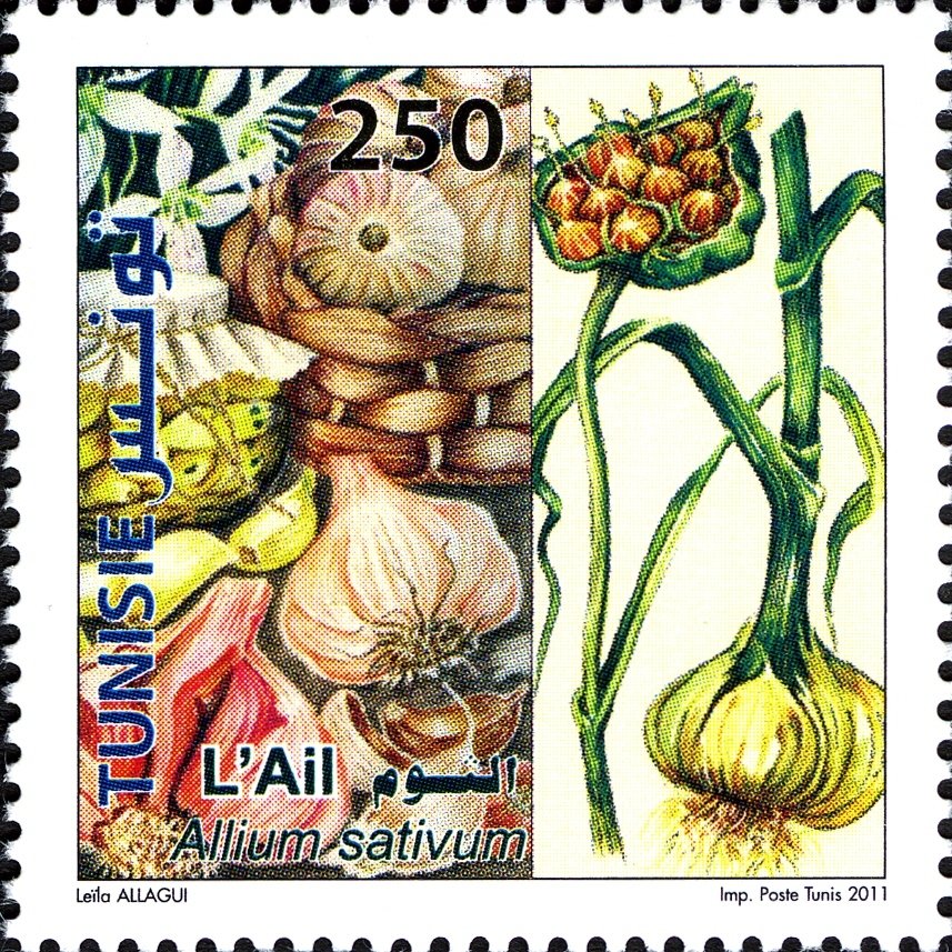 Stamp