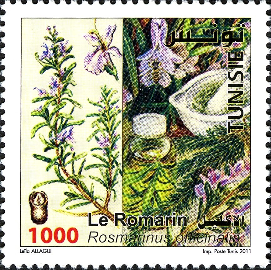 Stamp