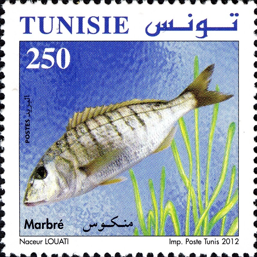 Stamp
