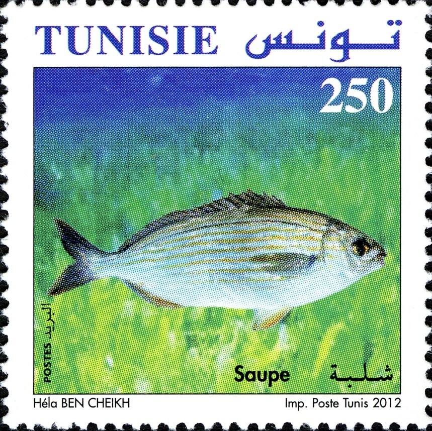 Stamp