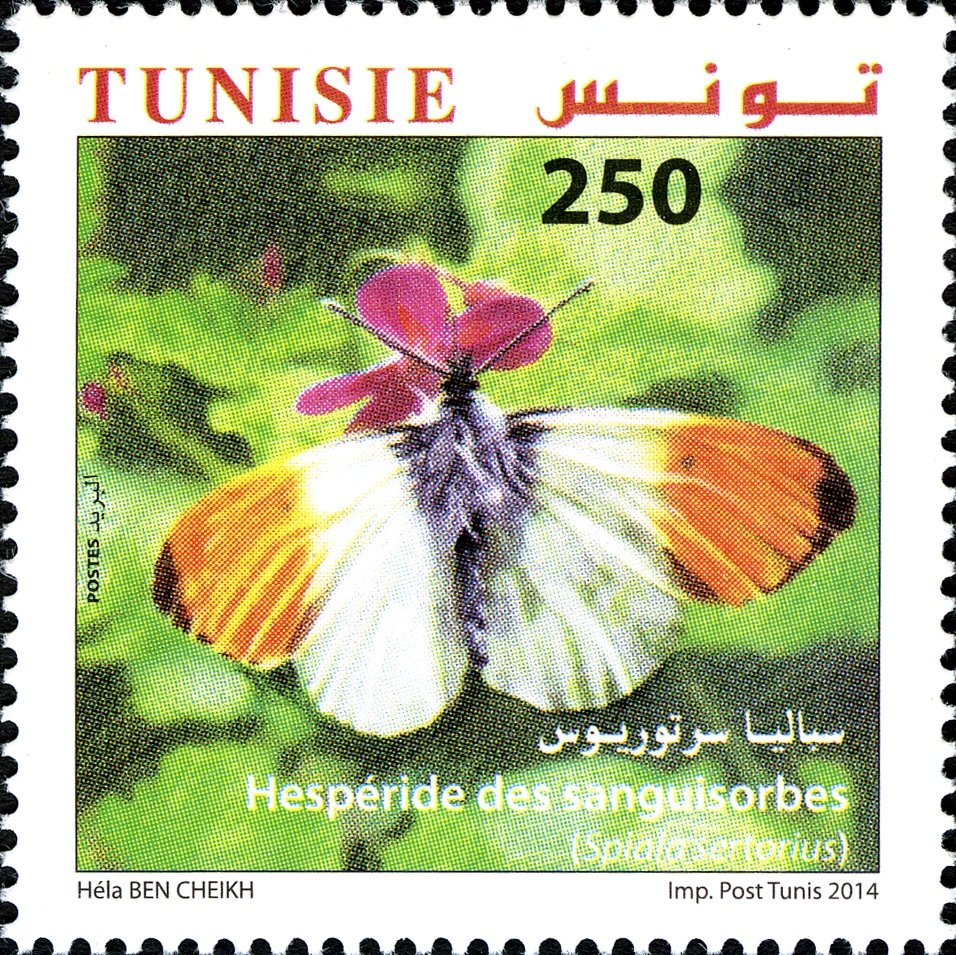 Stamp