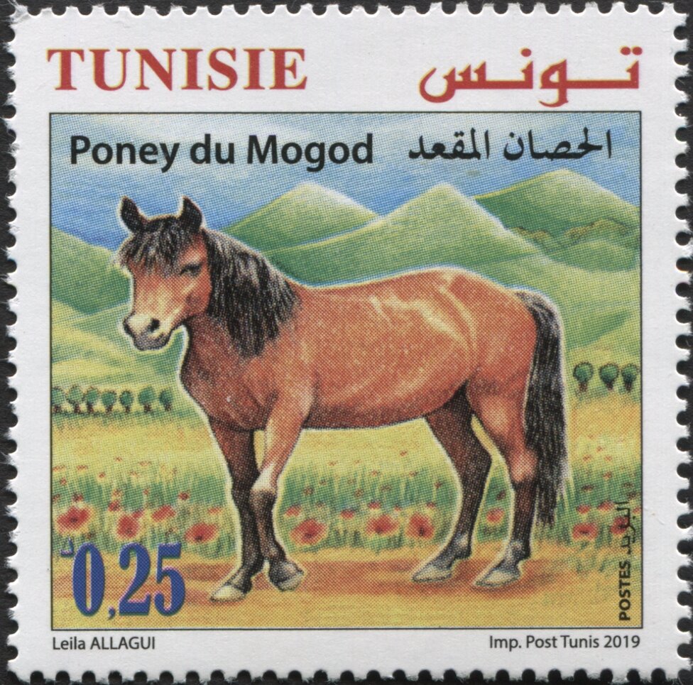 Stamp