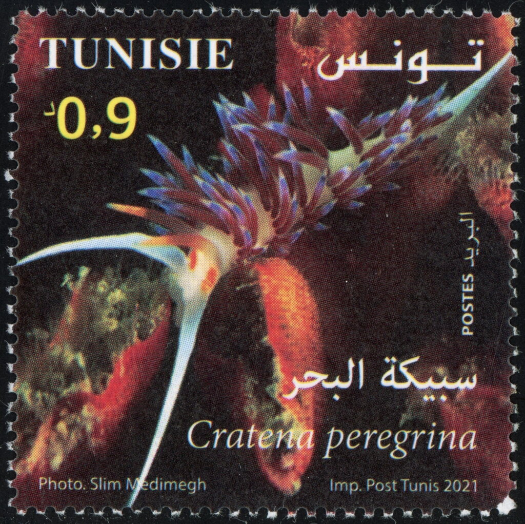 Stamp