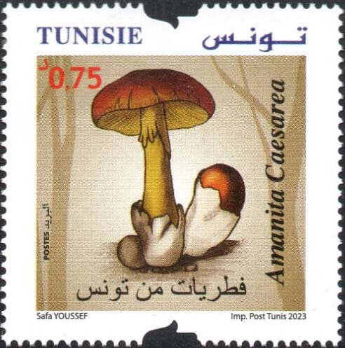 Stamp