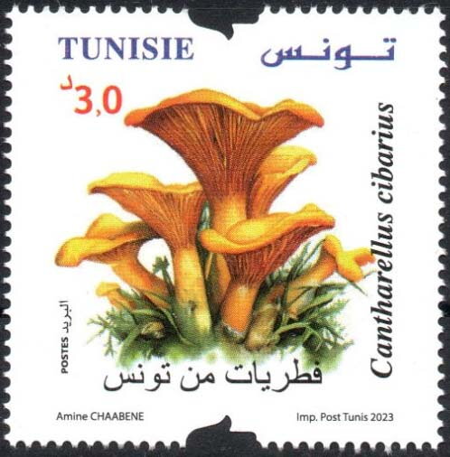 Stamp