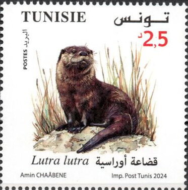 Stamp