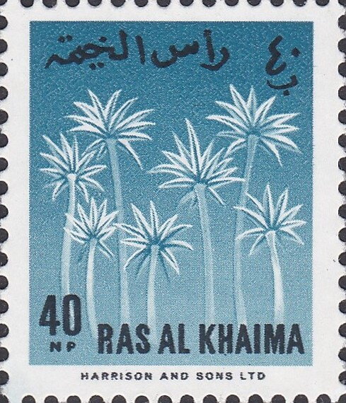 Date Palms - 40 naye paise