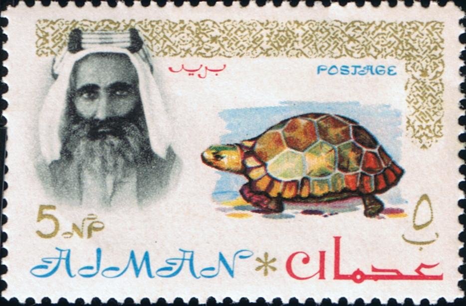Spur-thighed Tortoise - 5 naye paise