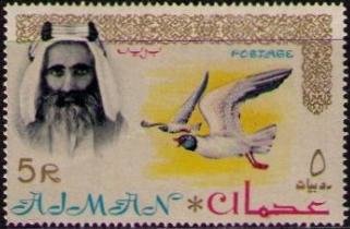 White-eyed Gull - 5 rupee