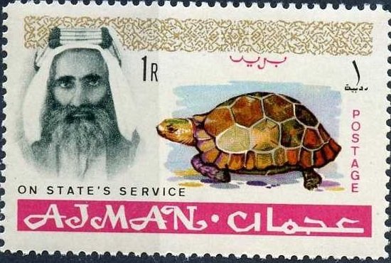 Spur-thighed Tortoise - 1 Rupee