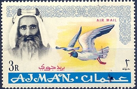 White-eyed Gull - 3 rupee