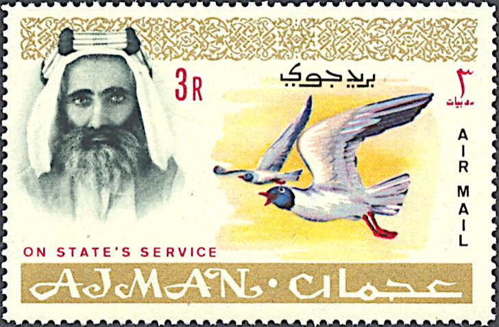 White-eyed Gull - 3 rupee