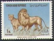 Lion (Panthera leo)