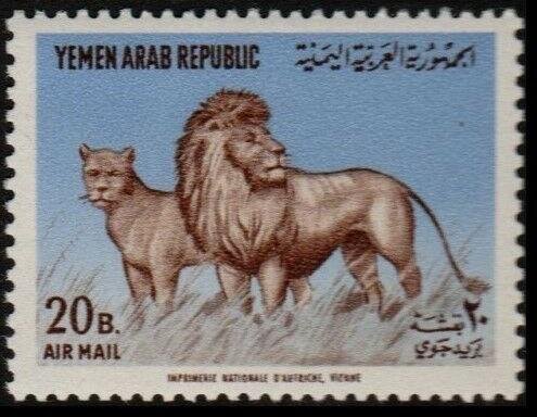 Lion (Panthera leo)
