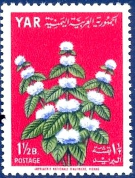 Peppermint