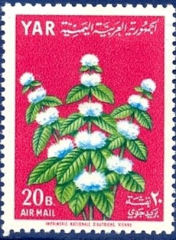 Peppermint