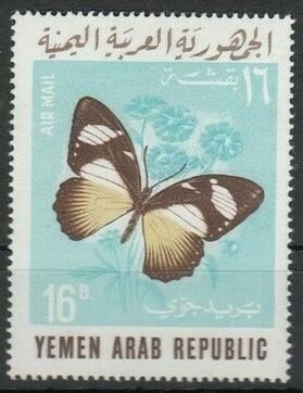 African Swallowtail (Papilio dardanus ssp. polytrophus)