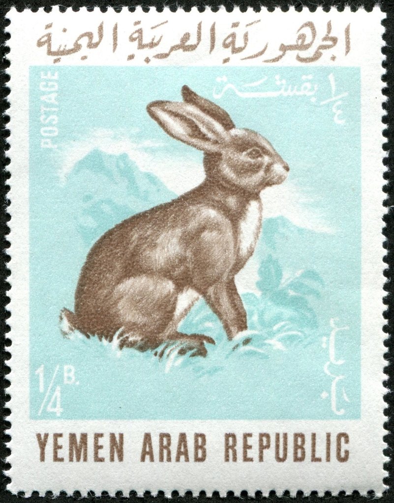 Stamp