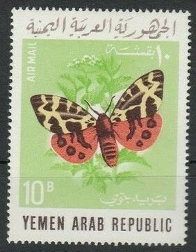 Garden Tiger Moth (Arctia caja)